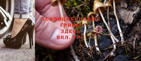 СК Баксан